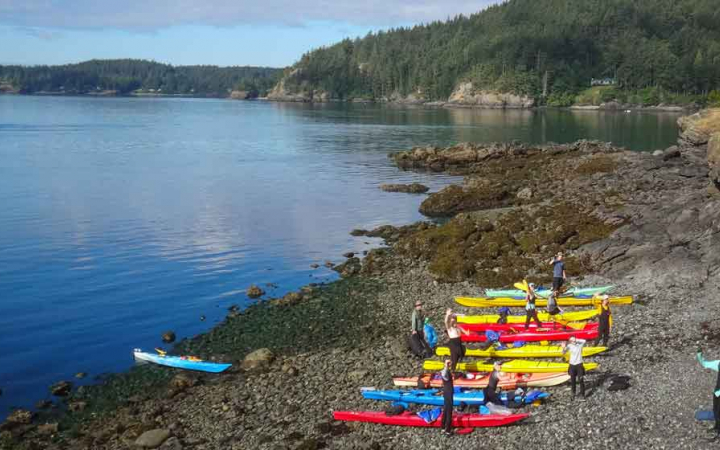 a group of colorful kayaks sit on the shoreline while people are preparing to begin the day's journey